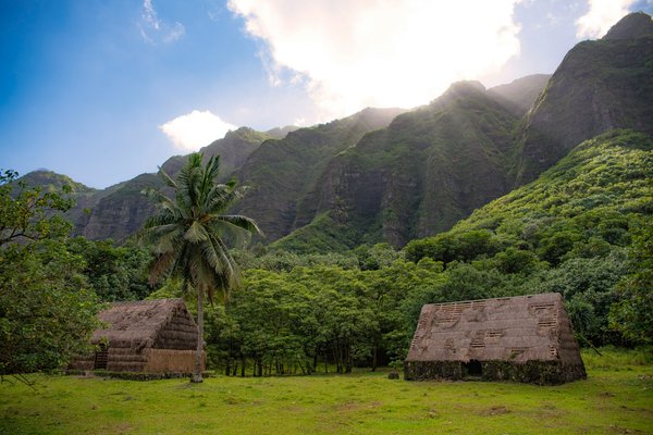 Comment se positionner comme un expert en études de marché pour les technologies vertes ?